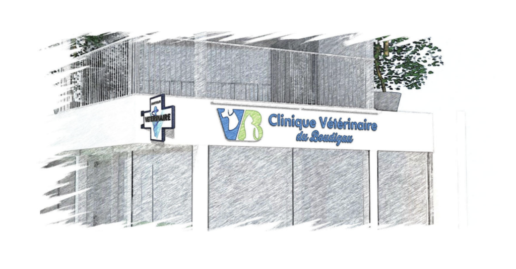 Clinique Vétérinaire Du Boudigau