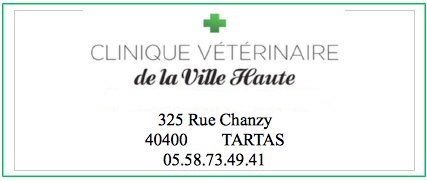 Clinique vétérinaire de la Ville Haute