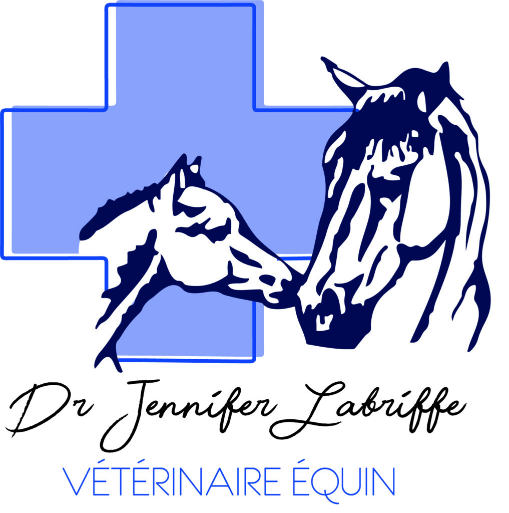 Dr véterinaire Jennifer Labriffe