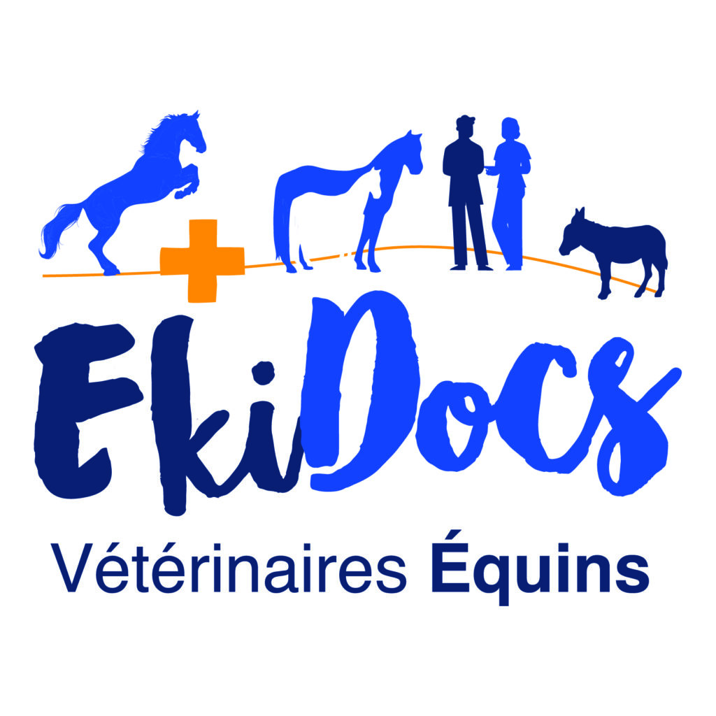 Cabinet vétérinaire équin EKIDOCS
