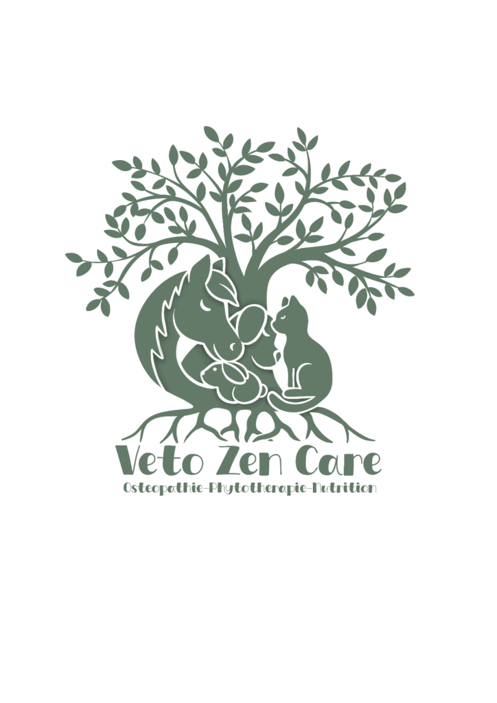 Véto zen care